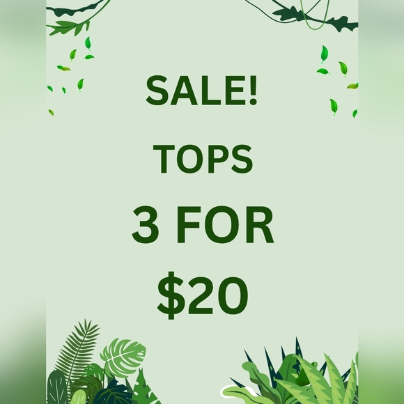 3/$20 Melissa Paige Sunlit Ruffle Blouse Size Large - Picture 7 of 7